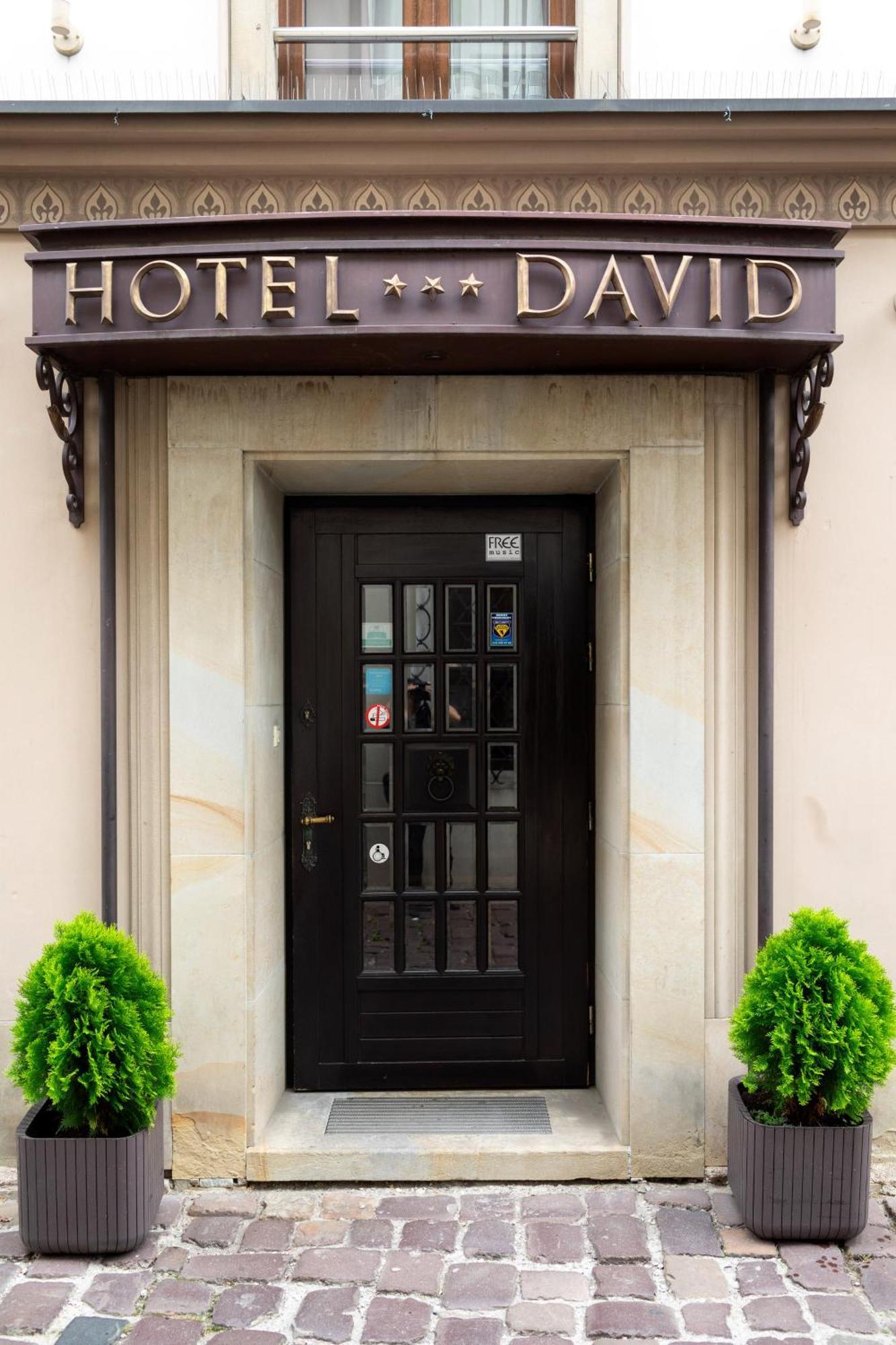 David Boutique Hotel Krasków Exterior foto